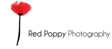 Red Poppy Photography | Seattle's Premier Newborn & Child Photographer | Seattle, Bellevue, Redmond, Kirkland, Renton, Sammamish logo